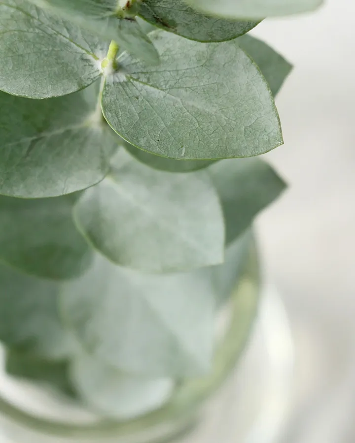 Strathfield Psychology